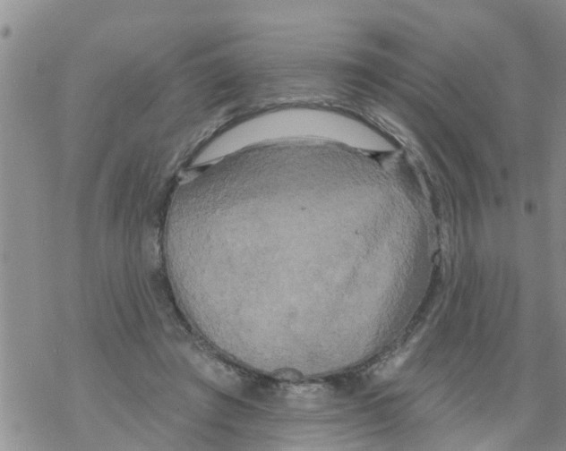 X0000068770401200605262211