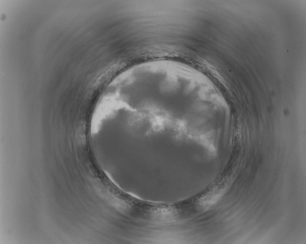 X0000068770402200605262211