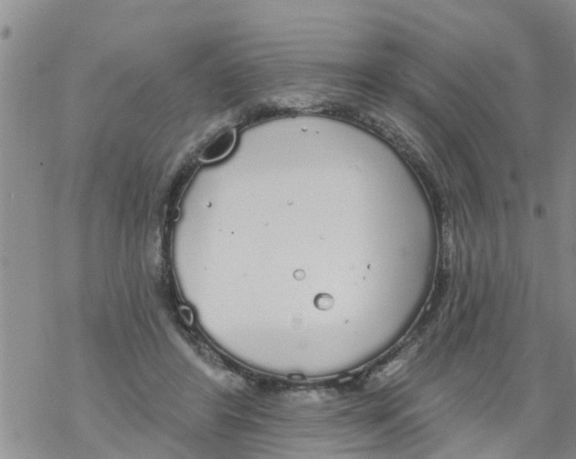 X0000068770404200605262211