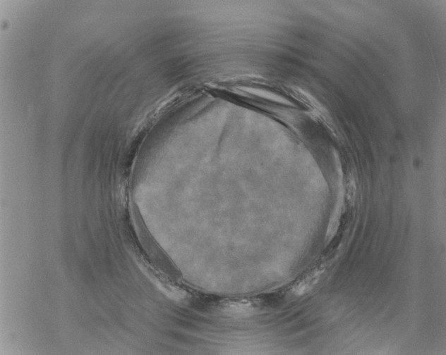 X0000068770405200605262211