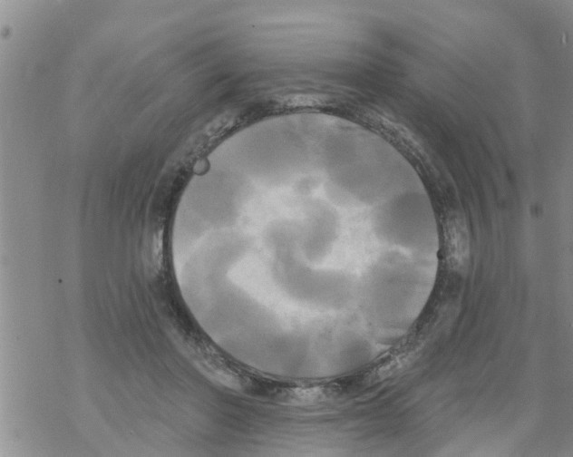 X0000068770406200605262211