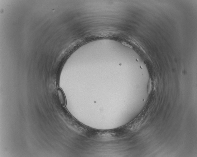 X0000068770407200605262211