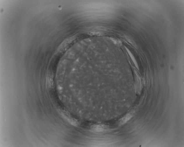 X0000068770408200605262211