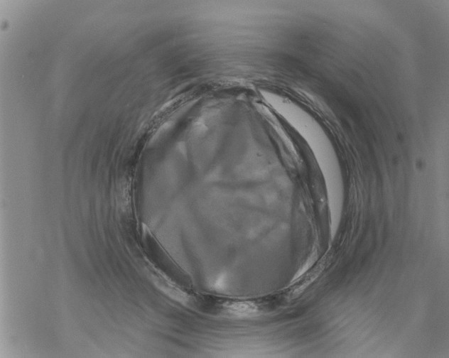 X0000068770409200605262211