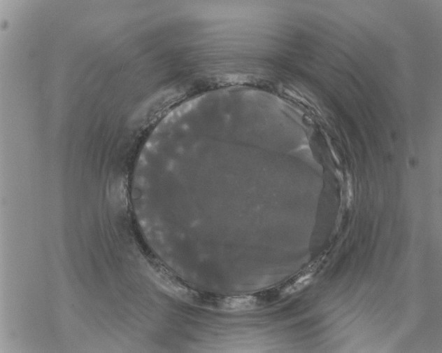 X0000068770410200605262211