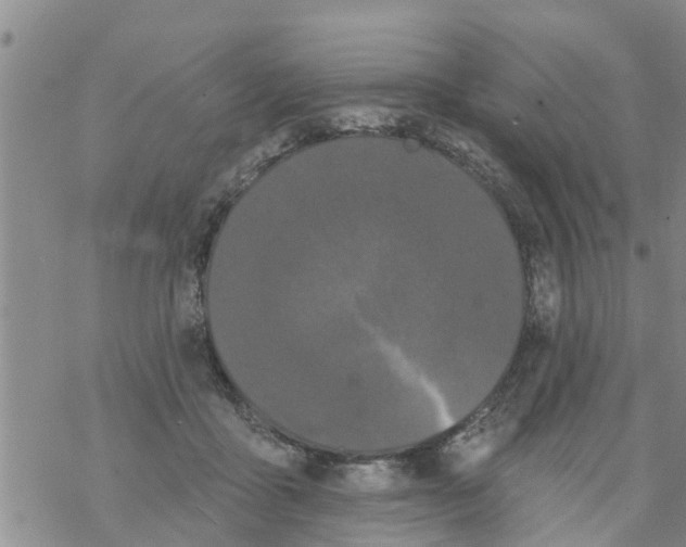 X0000068770411200605262211