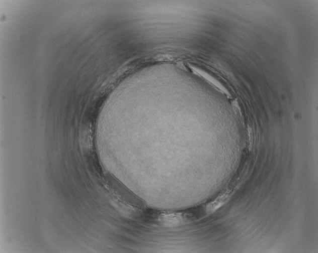 X0000068770413200605262211