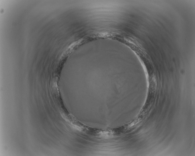 X0000068770415200605262211