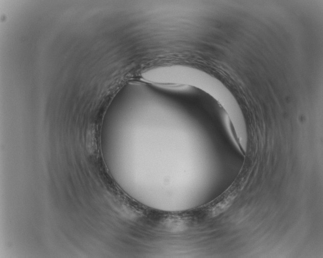 X0000068770416200605262211