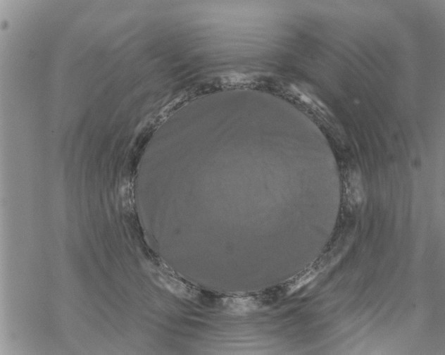 X0000068770419200605262211