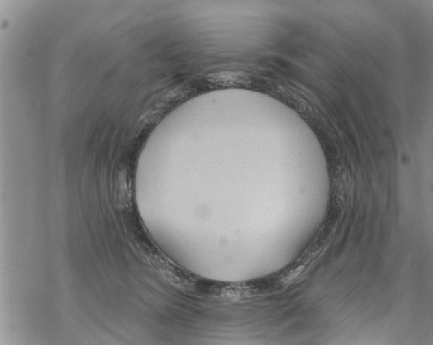 X0000068770420200605262211