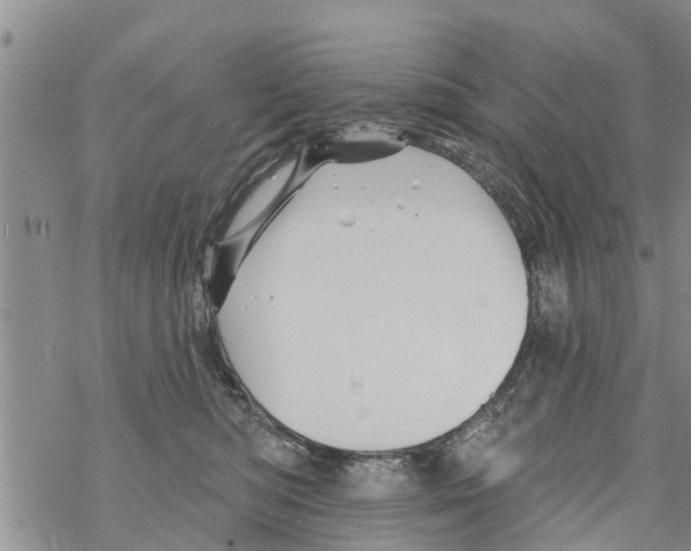 X0000068770422200605262211