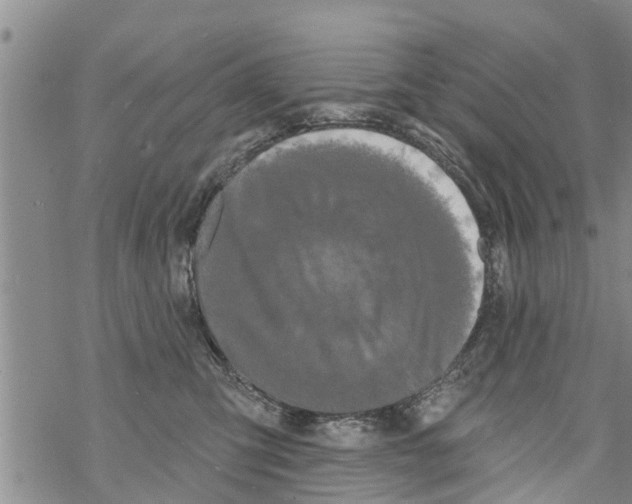 X0000068770423200605262211