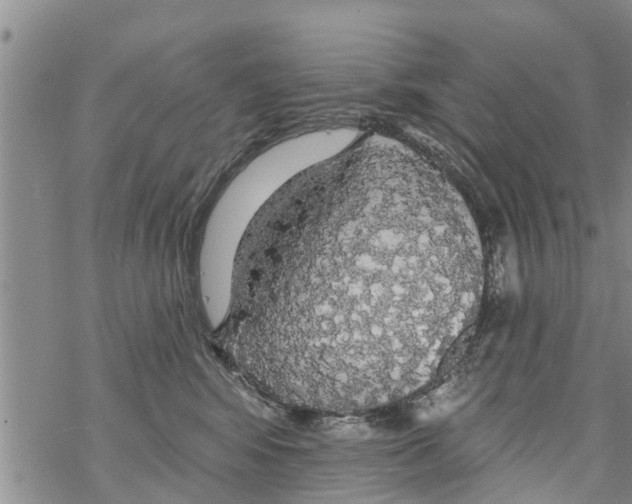 X0000068770424200605262211