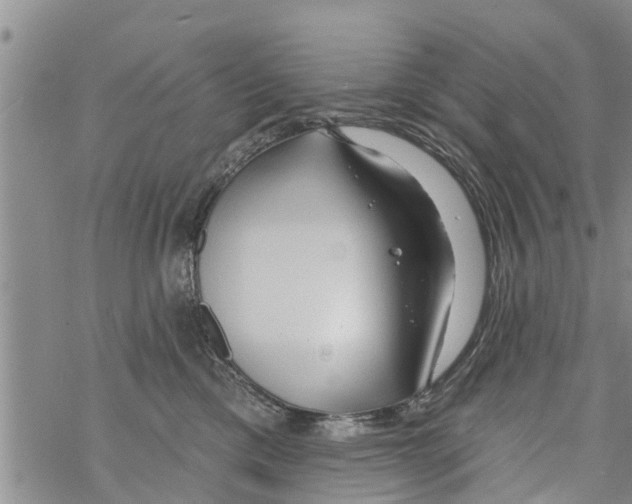 X0000068770425200605262211