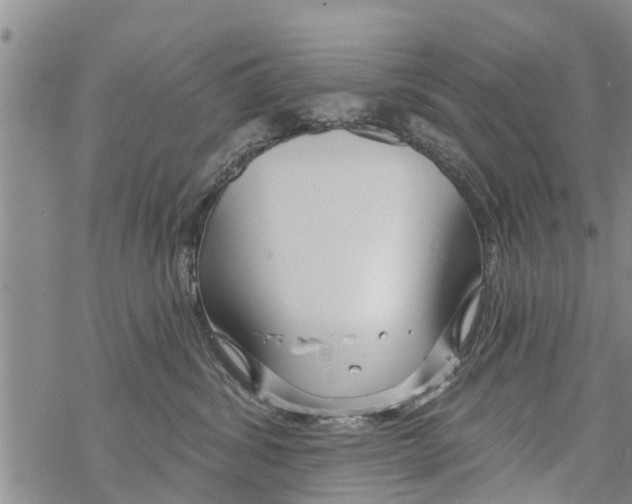 X0000068770428200605262211