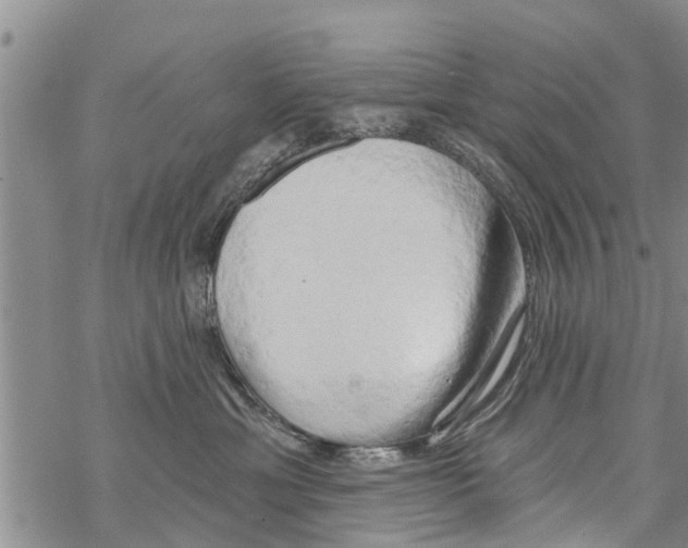 X0000068770429200605262211