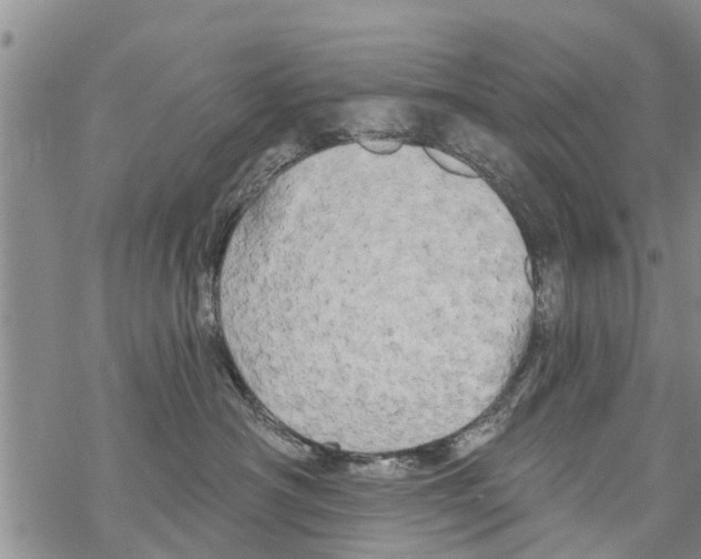 X0000068770430200605262211