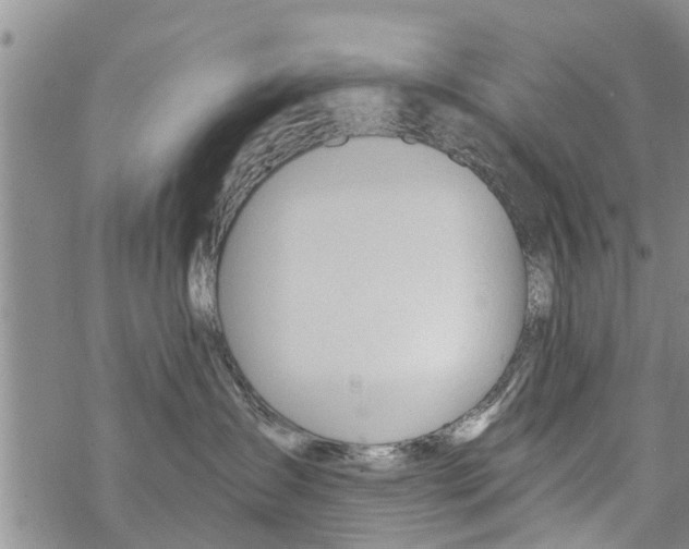 X0000068770431200605262211