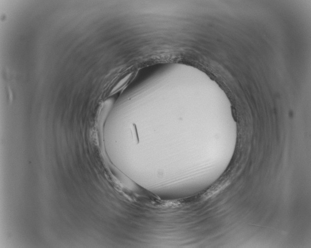 X0000068770432200605262211