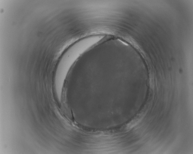 X0000068770434200605262210