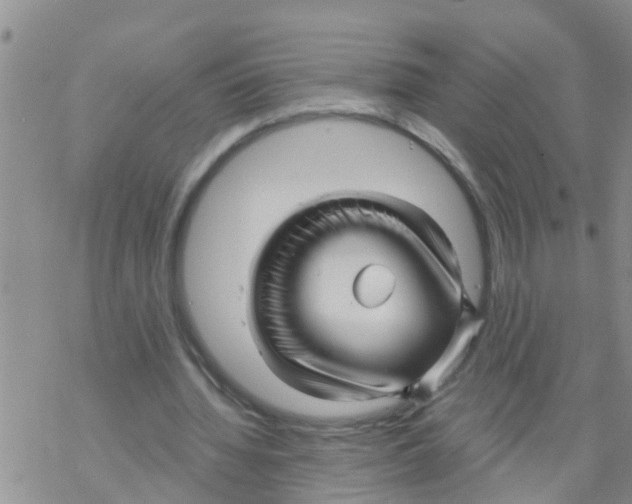 X0000068770436200605262210