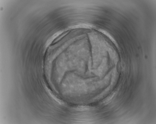 X0000068770437200605262210