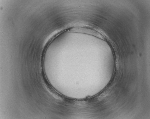 X0000068770438200605262210