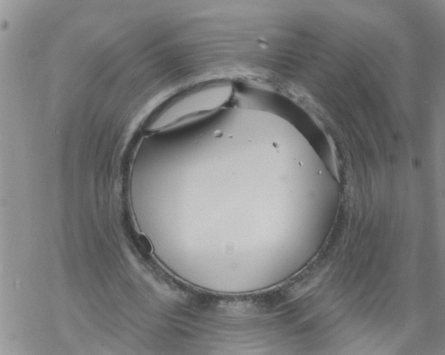 X0000068770440200605262210