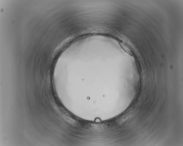 X0000068770442200605262210