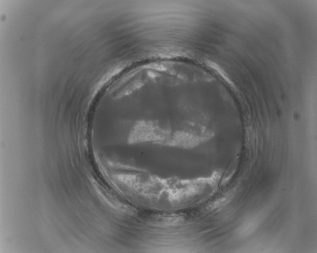 X0000068770443200605262210