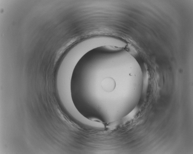 X0000068770446200605262210