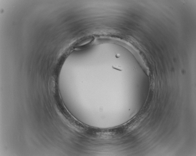 X0000068770448200605262210