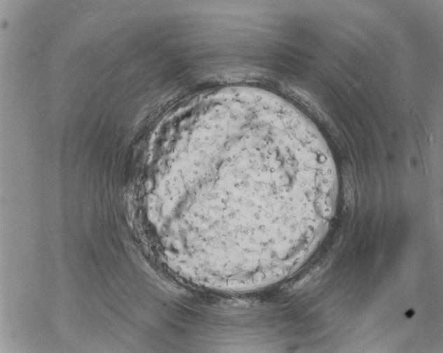 X0000068770453200605262210