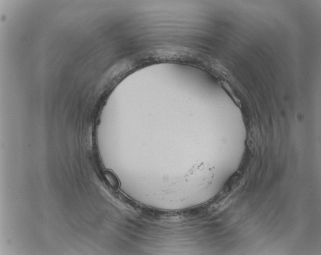 X0000068770454200605262210