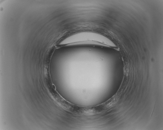 X0000068770456200605262210