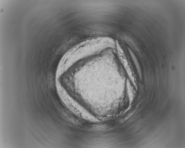 X0000068770457200605262210