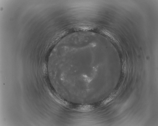 X0000068770459200605262210