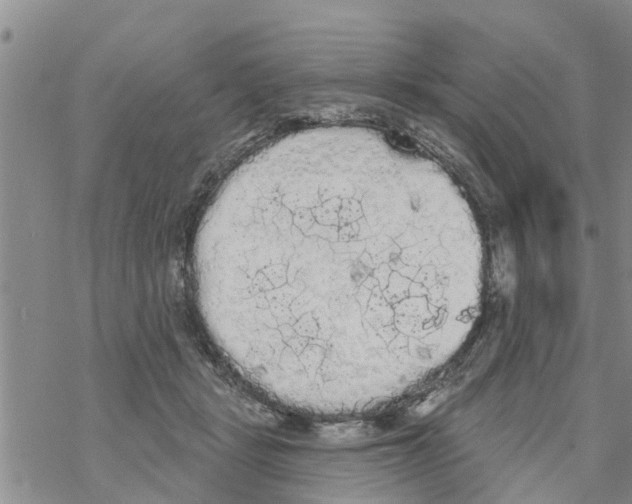 X0000068770461200605262210