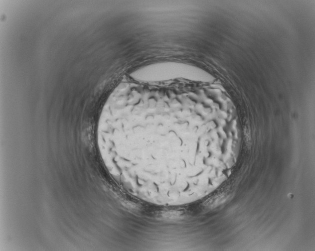 X0000068770462200605262210