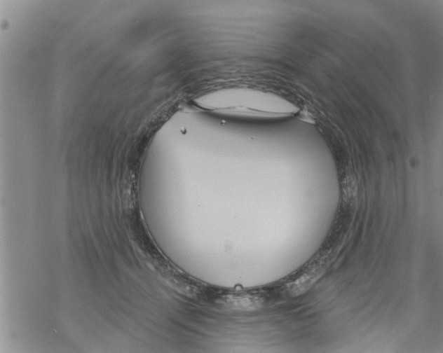 X0000068770464200605262210