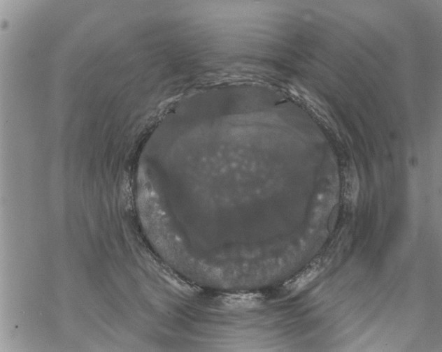 X0000068770465200605262210