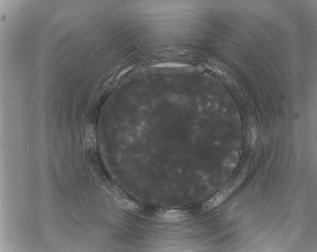 X0000068770467200605262210