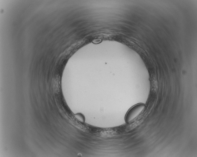 X0000068770468200605262210