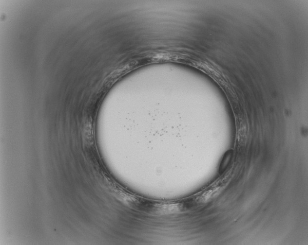 X0000068770469200605262210