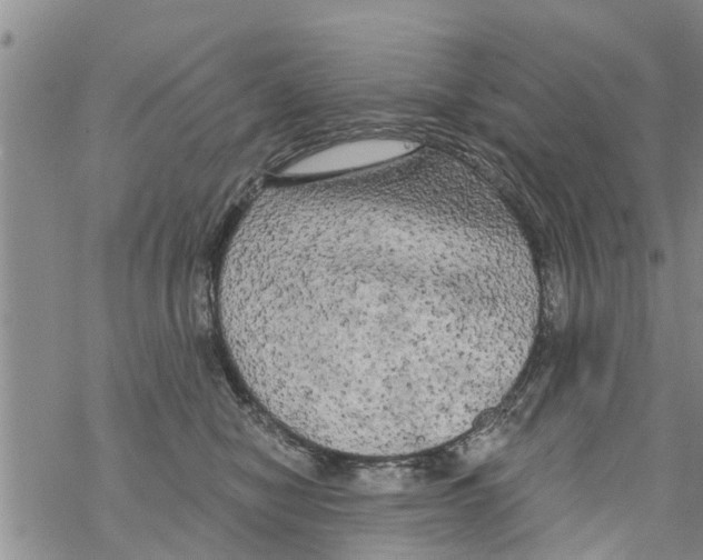 X0000068770470200605262210