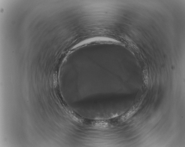 X0000068770471200605262210