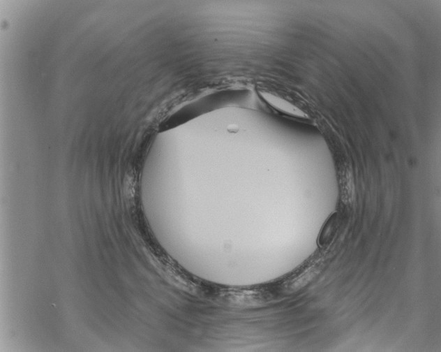 X0000068770472200605262210