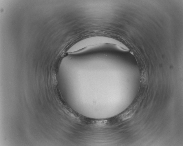 X0000068770474200605262210