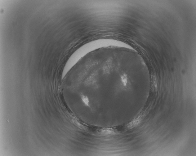 X0000068770475200605262211